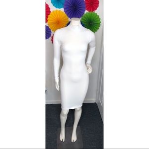 Turtleneck Fitted Dress 🍒